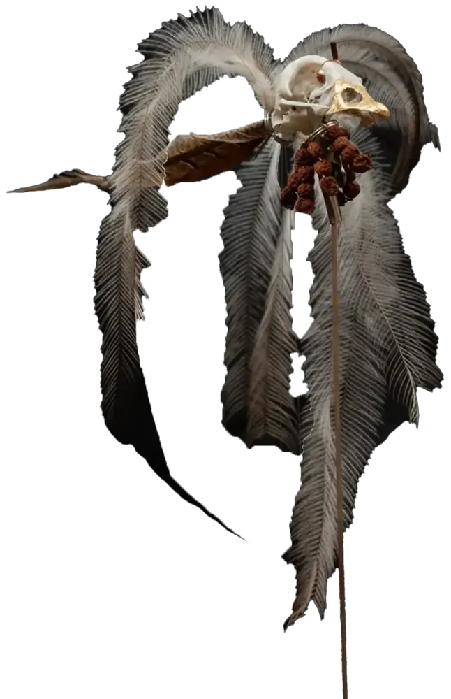 fragiles the whisperer