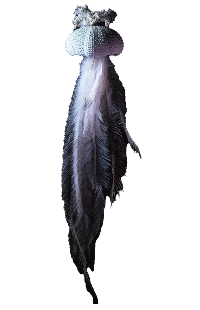 Etoile de plumes fragiles piece #2